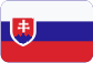 HLS Czech s.r.o. Slovensky